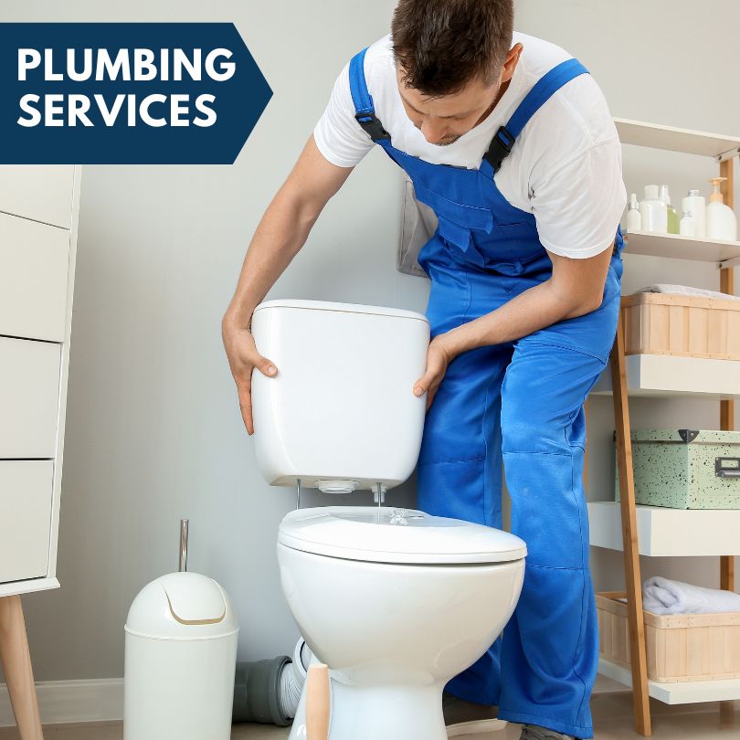Plumbing Company in Perkinsville, NY